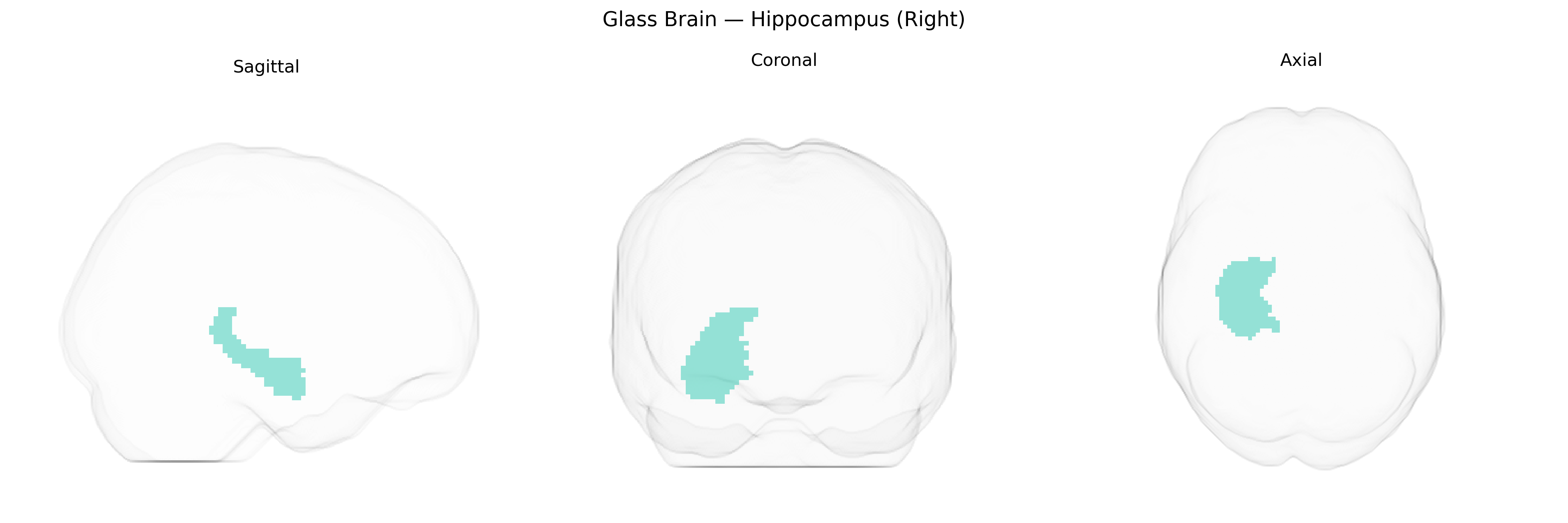 Triplanar Ghost Brain