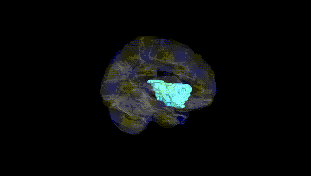 Hemisphere Black