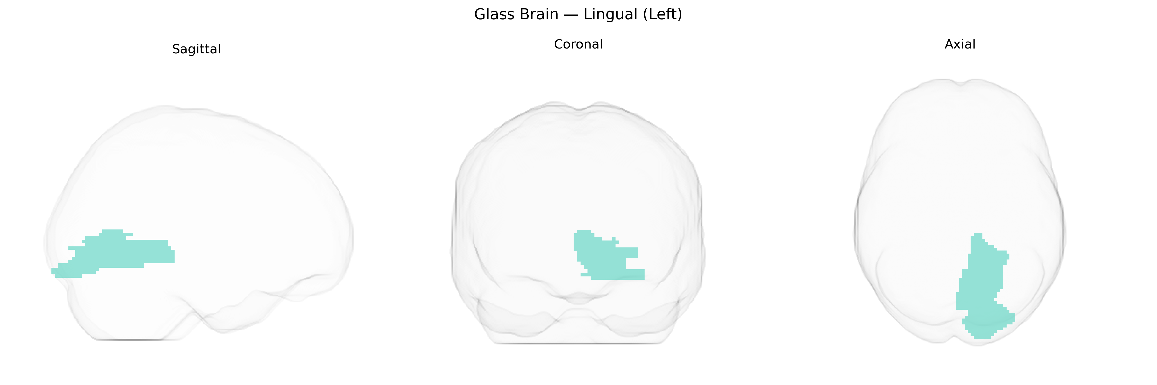 Triplanar Ghost Brain