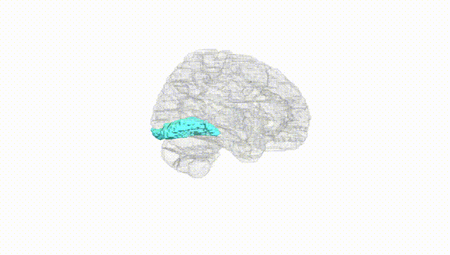 Hemisphere White