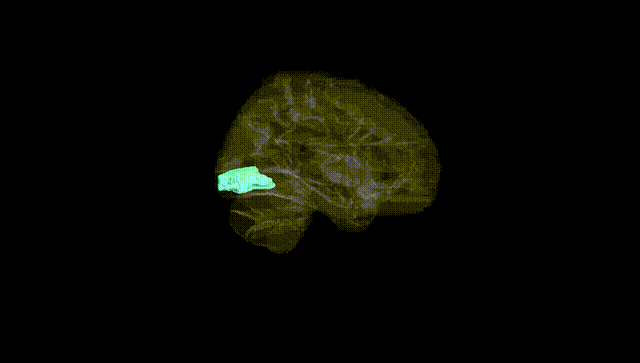 Hemisphere Black