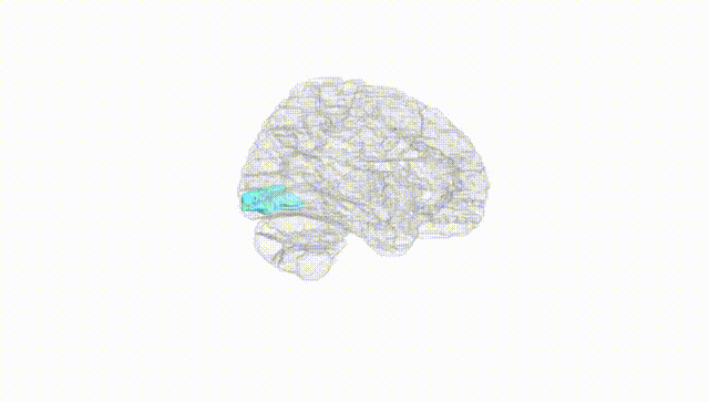 Hemisphere White