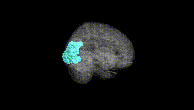 Full Brain Black