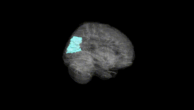 Full Brain Black
