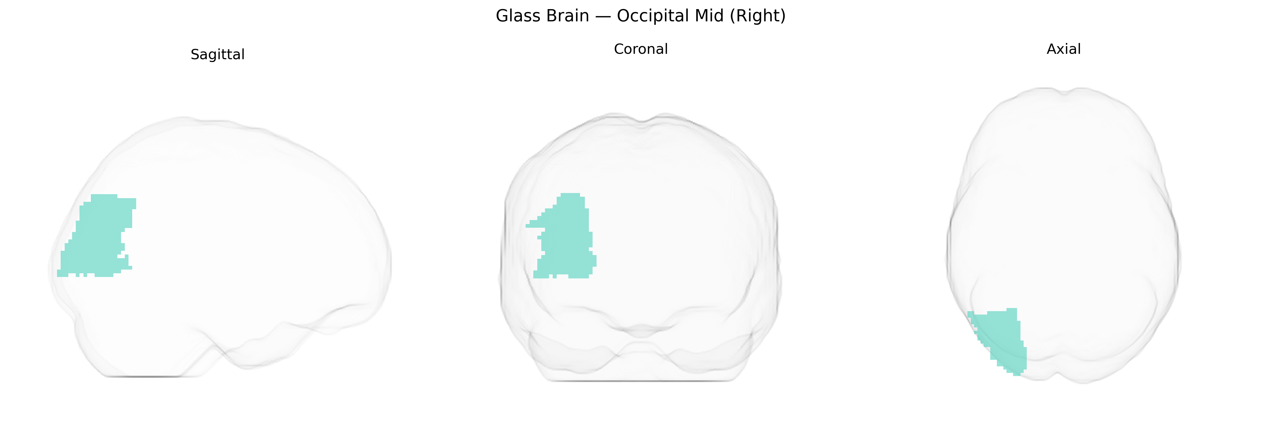 Triplanar Ghost Brain
