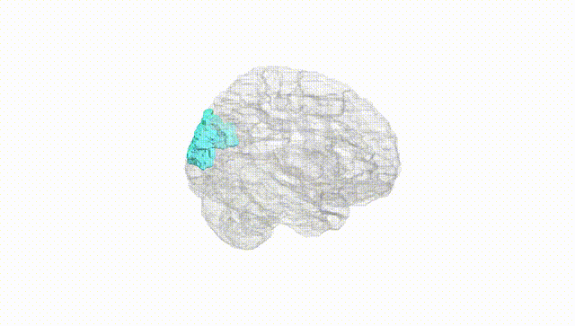 Hemisphere White