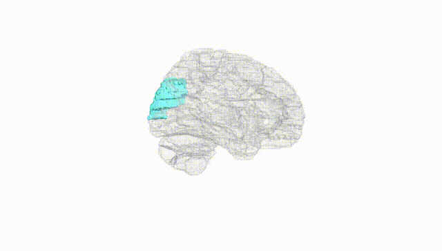 Hemisphere White