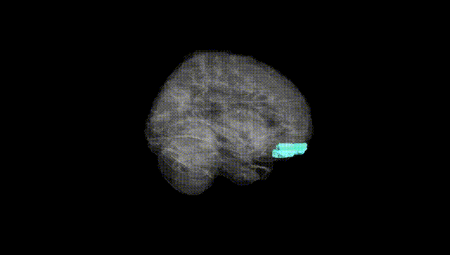 Full Brain Black