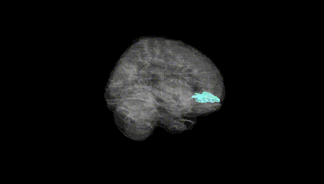 Full Brain Black