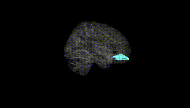 Hemisphere Black