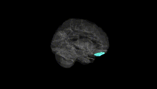 Hemisphere Black