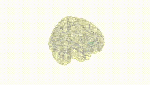 Full Brain White