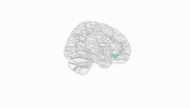 Hemisphere White