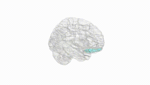 Hemisphere White