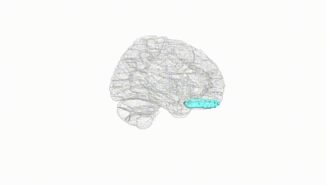 Hemisphere White