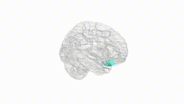 Hemisphere White