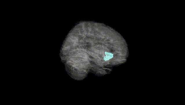 Full Brain Black