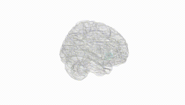 Full Brain White