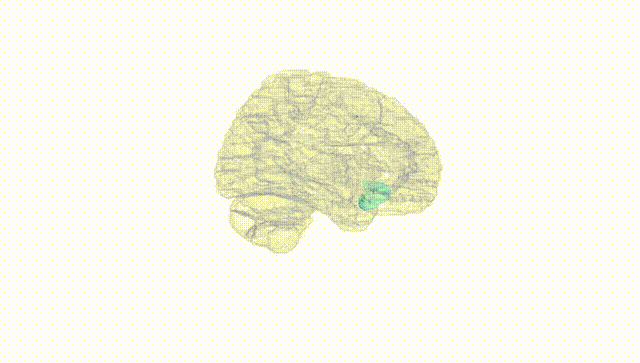 Hemisphere White