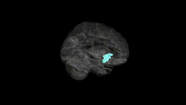 Hemisphere Black
