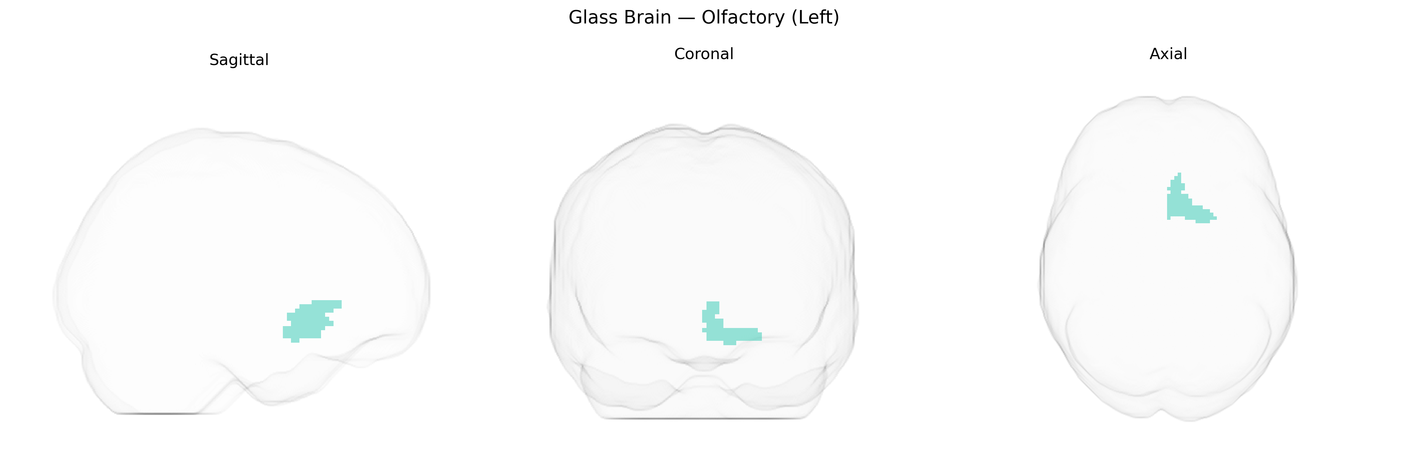 Triplanar Ghost Brain