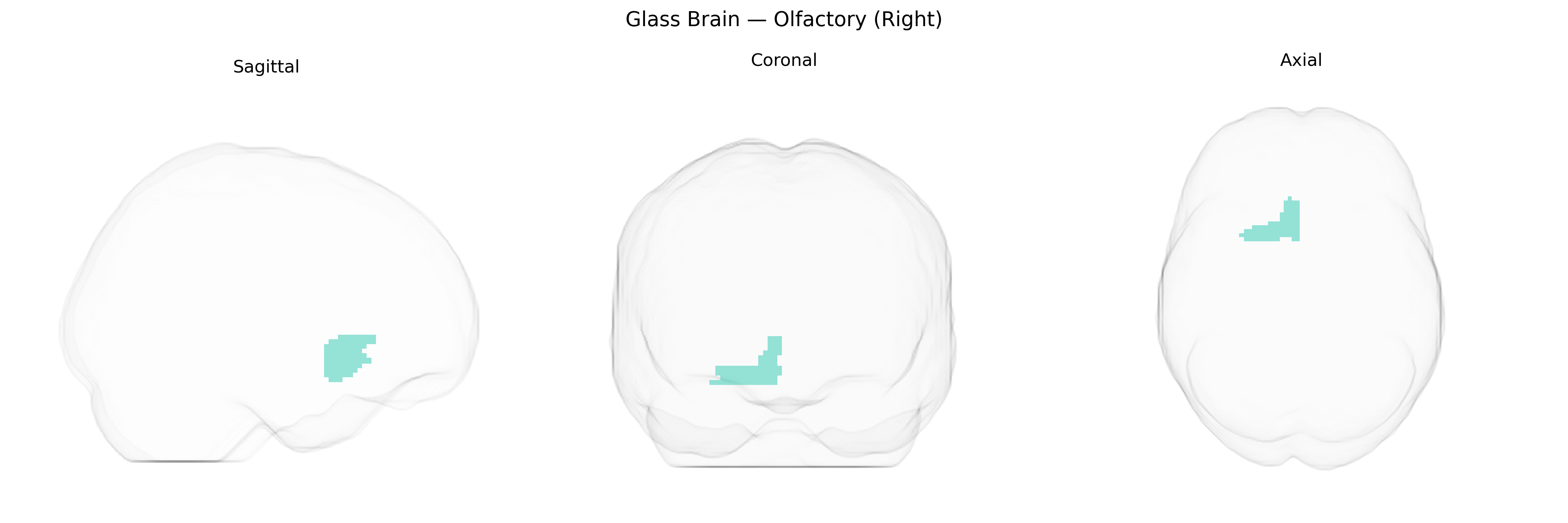 Triplanar Ghost Brain