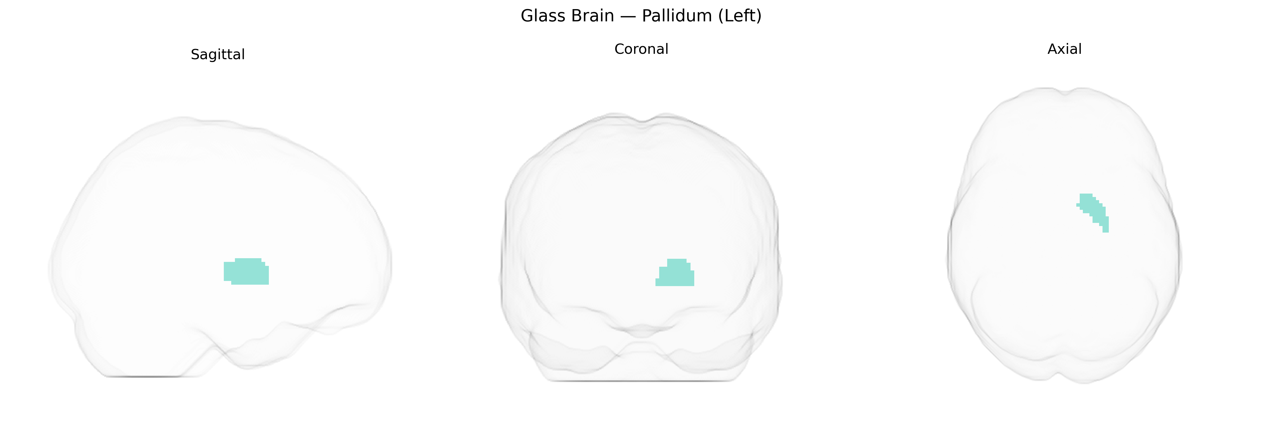 Triplanar Ghost Brain