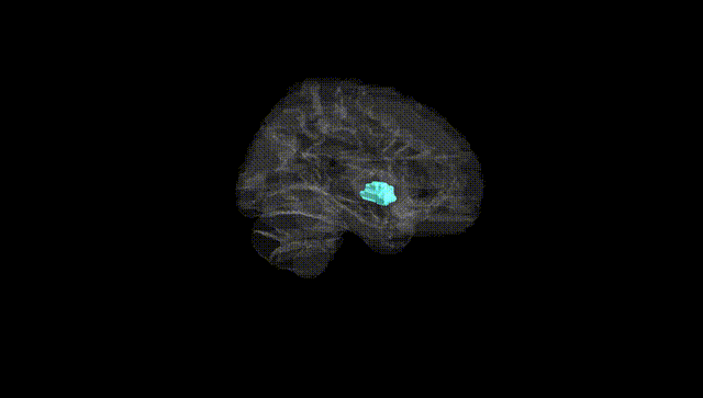 Hemisphere Black