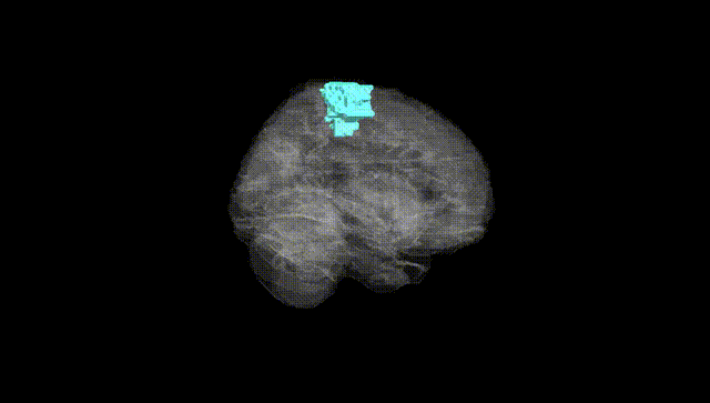 Full Brain Black