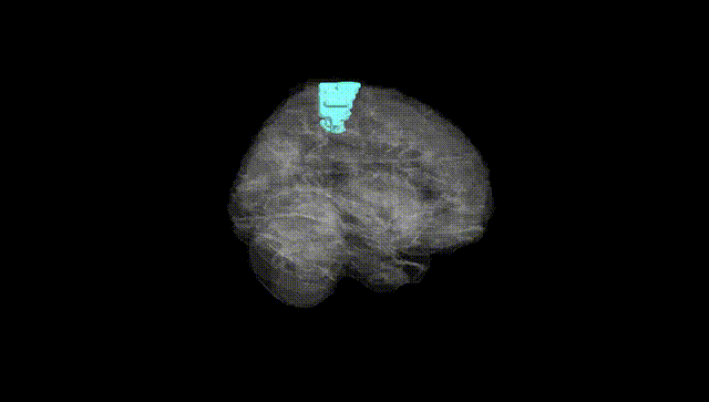 Full Brain Black