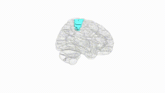 Hemisphere White