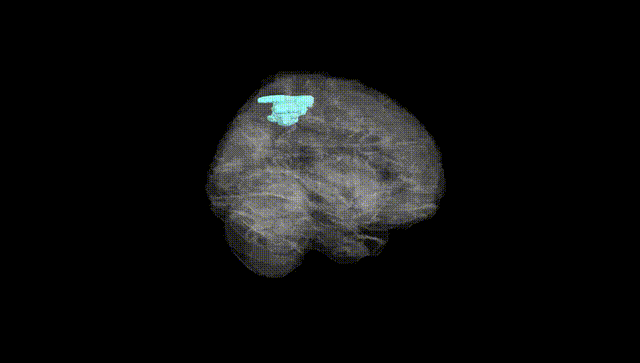 Full Brain Black