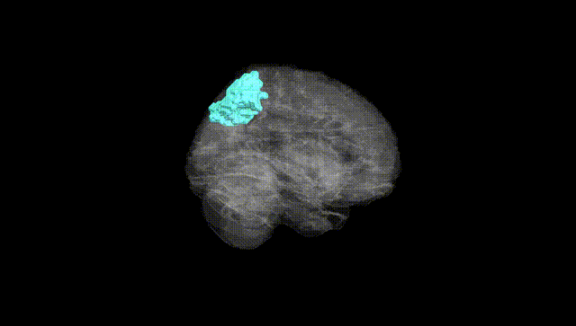Full Brain Black