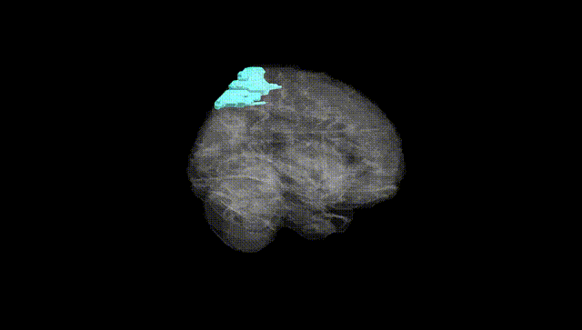 Full Brain Black