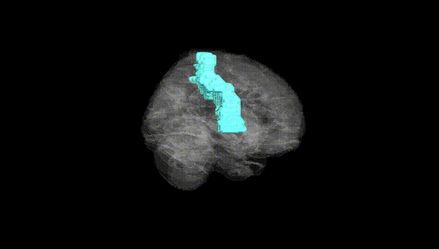 Full Brain Black