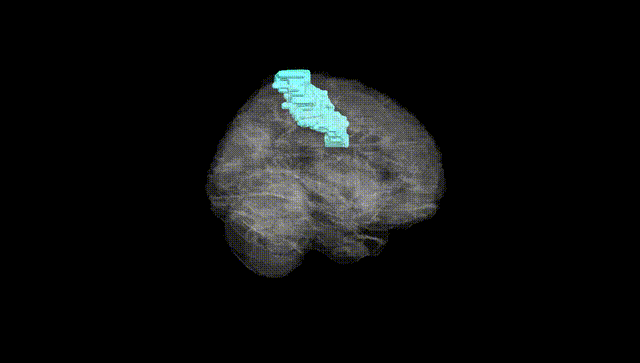 Full Brain Black