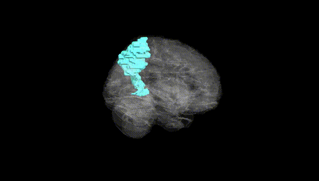 Full Brain Black