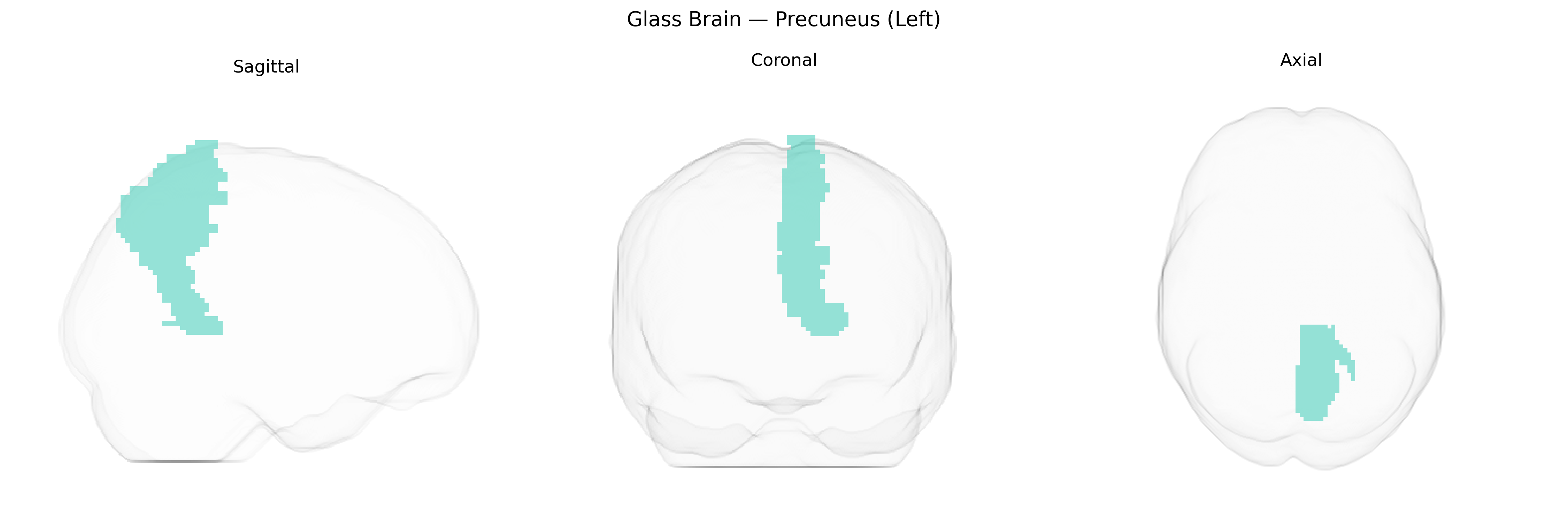 Triplanar Ghost Brain