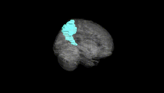 Full Brain Black