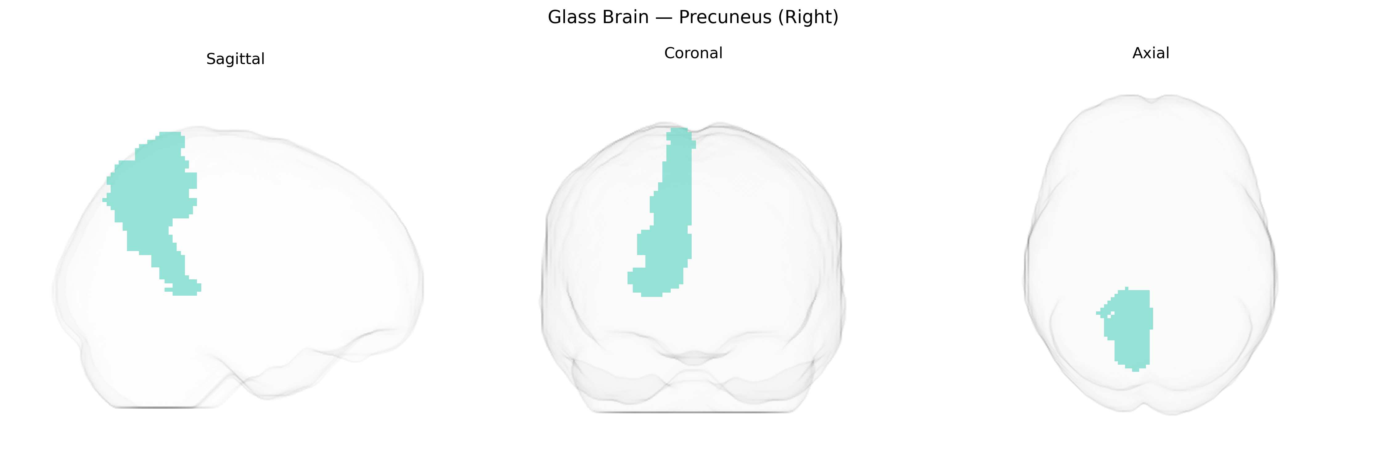 Triplanar Ghost Brain