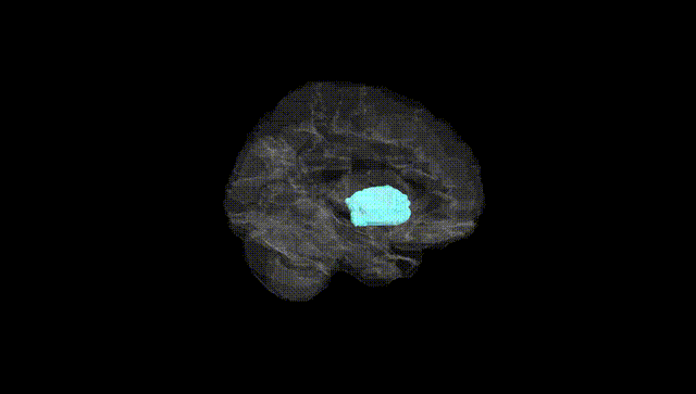 Hemisphere Black