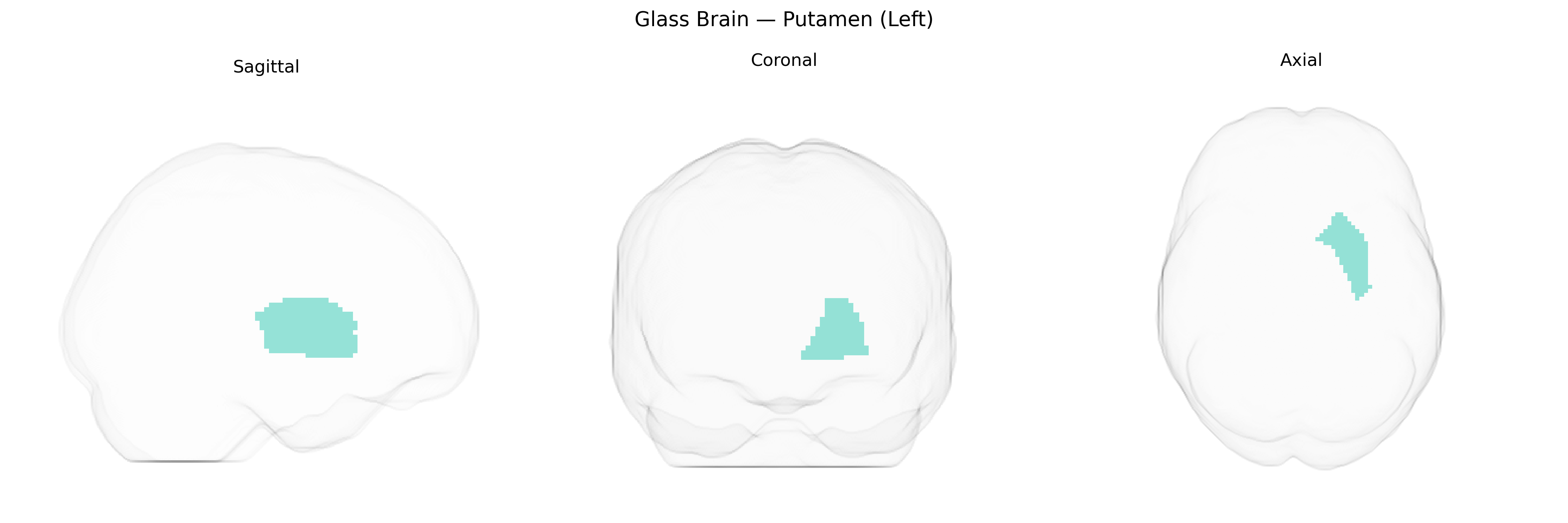 Triplanar Ghost Brain