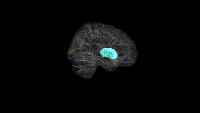 Hemisphere Black