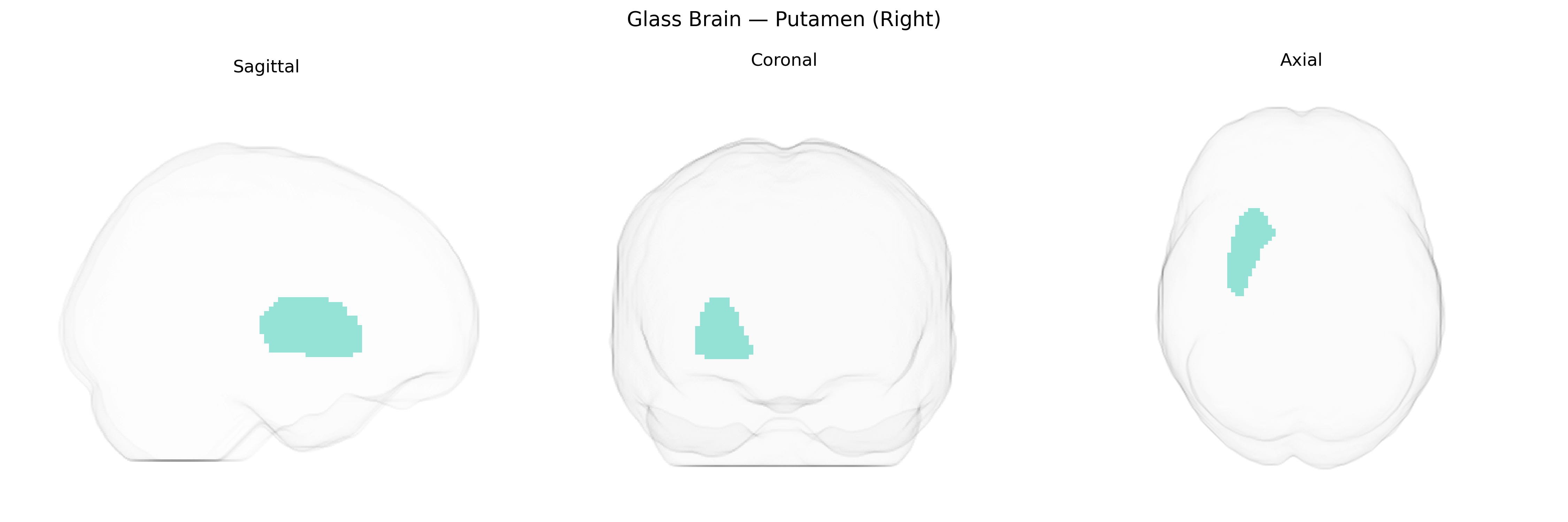 Triplanar Ghost Brain
