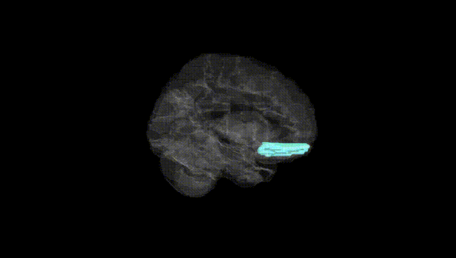 Hemisphere Black