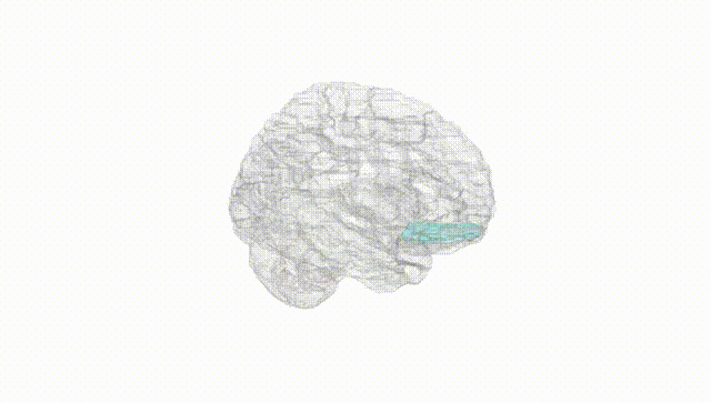 Hemisphere White