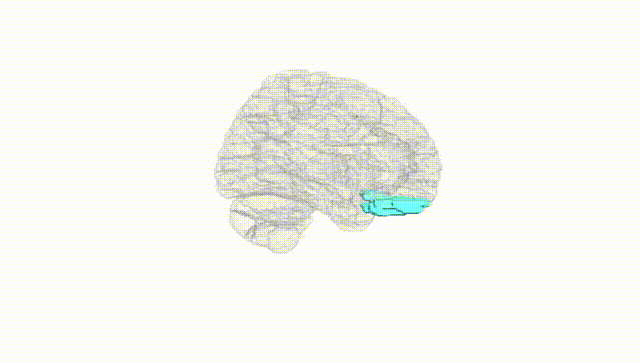 Hemisphere White
