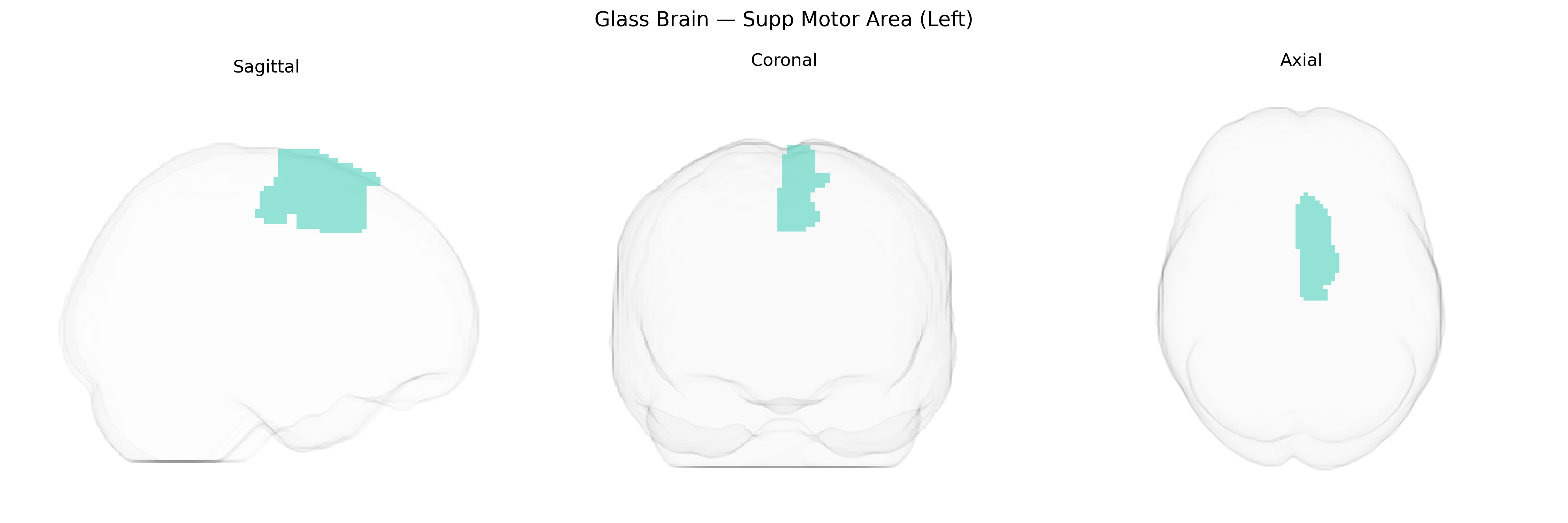 Triplanar Ghost Brain