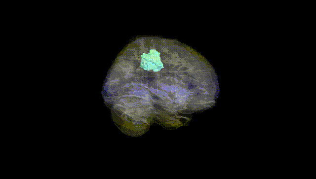 Full Brain Black