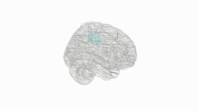 Full Brain White